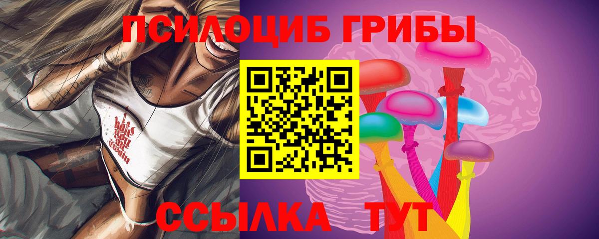 Псилоцибиновые грибы ЛСД Псков