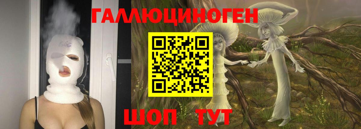 Галлюциногенные грибы GOLDEN TEACHER  Псилоцибиновые грибы Psilocybe  Вход с VPN  Псков 